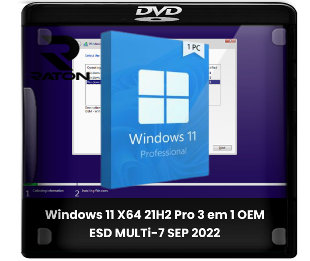 Download Windows 11 X64 21h2 Pro 3 Em 1 Oem Esd Multi 7 Sep 2022